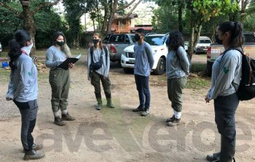 Gallery - 3