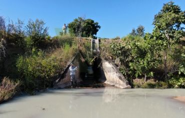Monitoramento de Fauna Atropelada e Passagens de Fauna