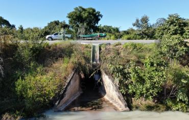 Monitoramento de Fauna Atropelada e Passagens de Fauna