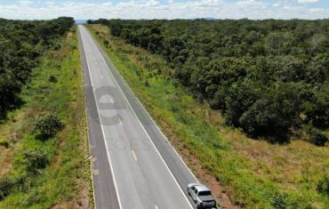 Monitoramento de Fauna Atropelada e Passagens de Fauna
