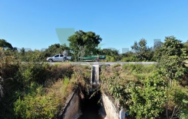 Monitoramento de Fauna Atropelada e Passagens de Fauna