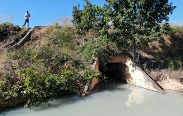 Monitoramento de Fauna Atropelada e Passagens de Fauna