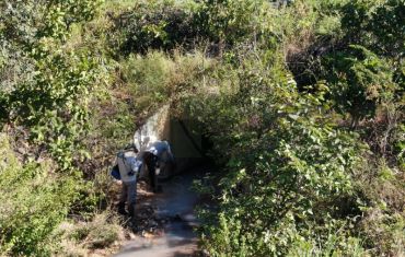 Monitoramento de Fauna Atropelada e Passagens de Fauna