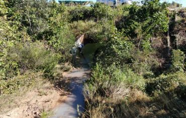 Monitoramento de Fauna Atropelada e Passagens de Fauna