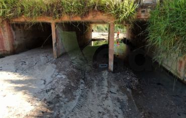 Monitoramento de Fauna Atropelada e Passagens de Fauna