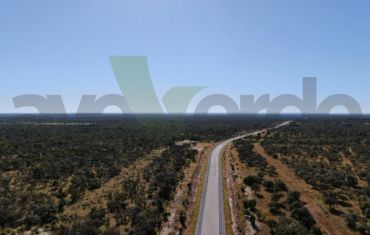 Monitoramento de Fauna Atropelada e Passagens de Fauna