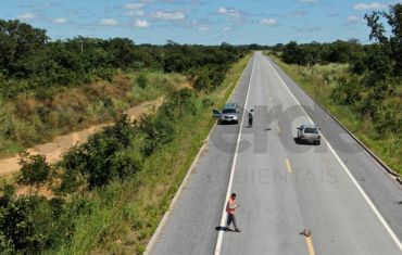 Monitoramento de Fauna Atropelada e Passagens de Fauna
