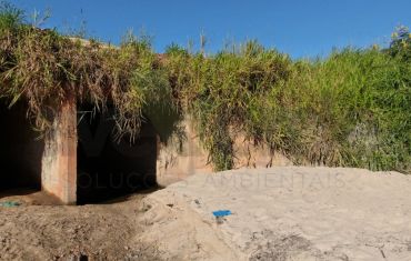 Monitoramento de Fauna Atropelada e Passagens de Fauna