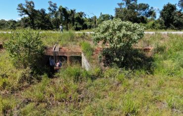Monitoramento de Fauna Atropelada e Passagens de Fauna