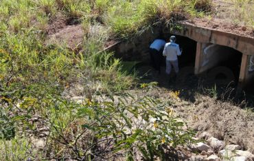 Monitoramento de Fauna Atropelada e Passagens de Fauna