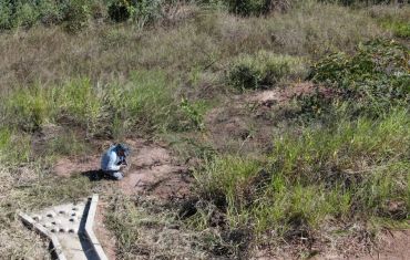 Monitoramento de Fauna Atropelada e Passagens de Fauna
