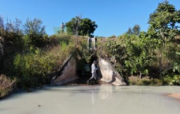 Monitoramento de Fauna Atropelada e Passagens de Fauna