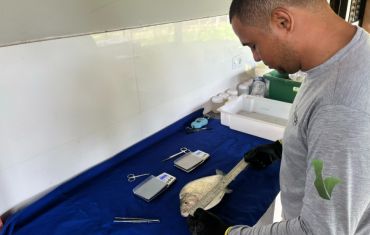 Monitoramento de Ictiofauna