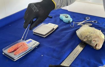 Monitoramento de Ictiofauna