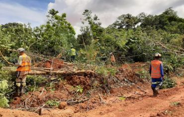 Resgate e Salvamento de Fauna e Flora