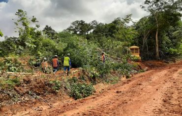 Resgate e Salvamento de Fauna e Flora