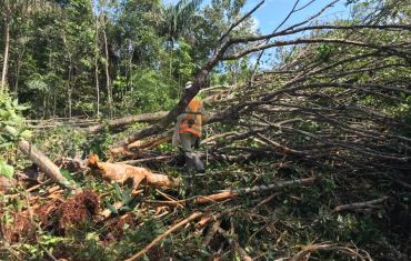 Resgate e Salvamento de Fauna e Flora