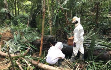 Resgate e Salvamento de Fauna e Flora