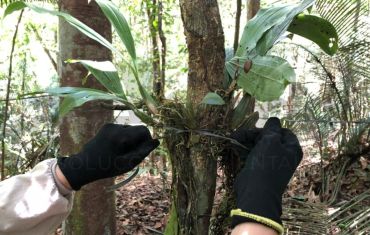 Resgate e Salvamento de Fauna e Flora