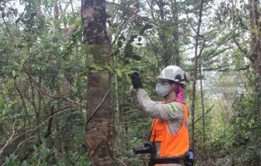 Resgate e Salvamento de Fauna e Flora