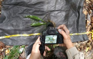 Resgate e Salvamento de Fauna e Flora