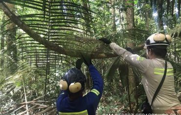 Resgate e Salvamento de Fauna e Flora