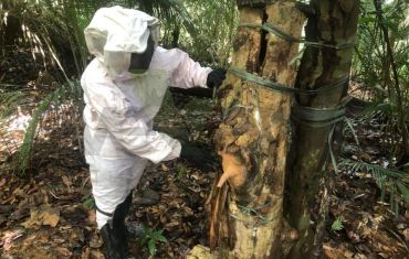 Resgate e Salvamento de Fauna e Flora
