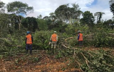 Resgate e Salvamento de Fauna e Flora