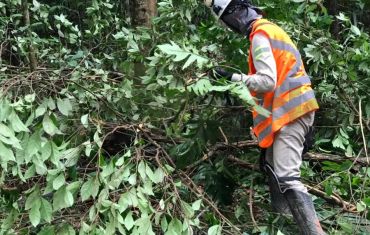 Resgate e Salvamento de Fauna e Flora