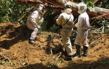 Resgate e Salvamento de Fauna e Flora