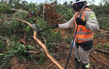Resgate e Salvamento de Fauna e Flora