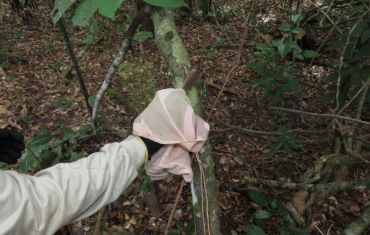 Resgate e Salvamento de Fauna e Flora