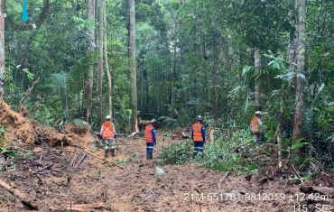 Resgate e Salvamento de Fauna e Flora