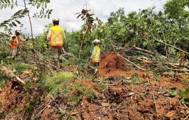 Resgate e Salvamento de Fauna e Flora
