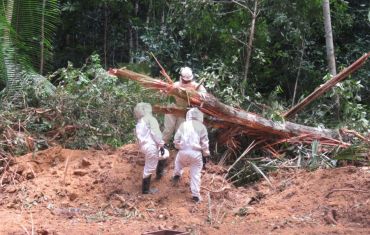 Resgate e Salvamento de Fauna e Flora