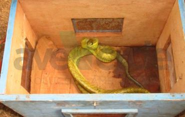 Resgate e Salvamento de Fauna e Flora