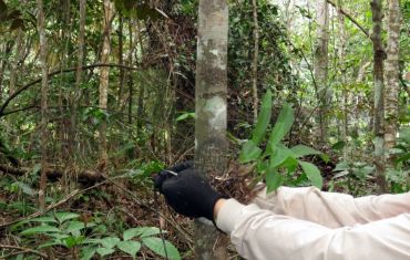 Resgate e Salvamento de Fauna e Flora