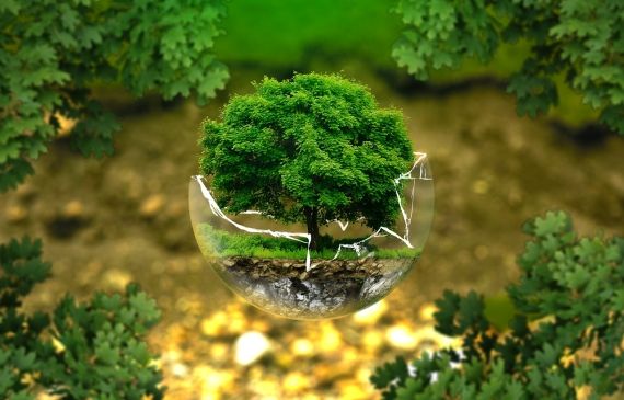 Programas Ambientais (Gestão Ambiental e Monitoramento)