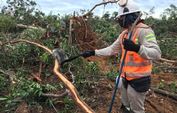 Resgate e Salvamento de Fauna e Flora
